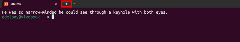 Windows terminal tab button highlighted by a red rectangle.
