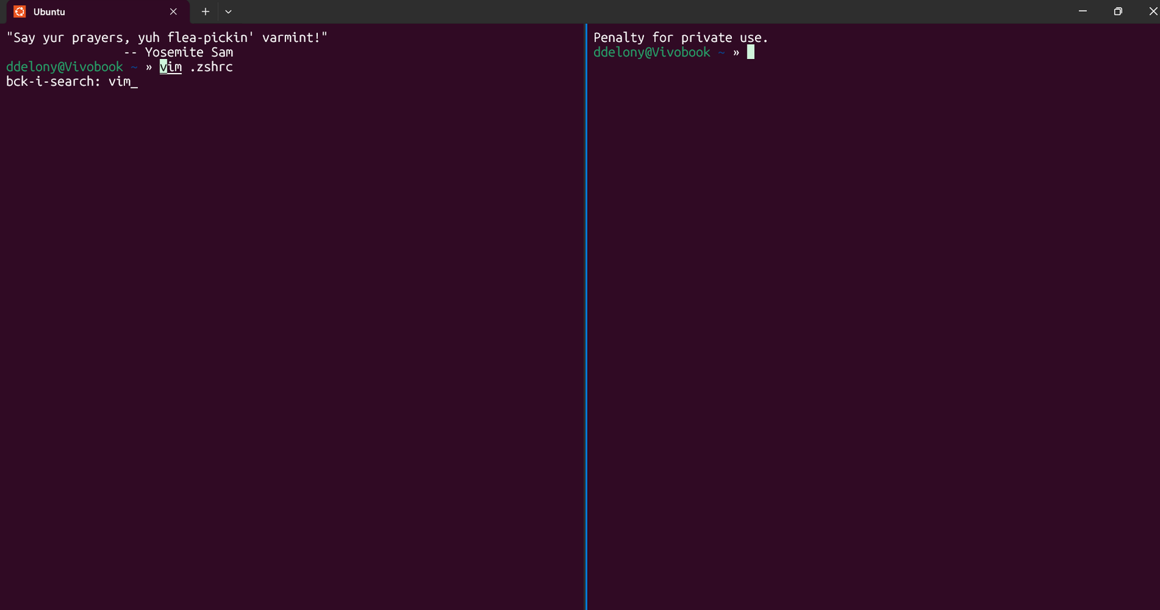 Windows Terminal split terminal window with two WSL panes.