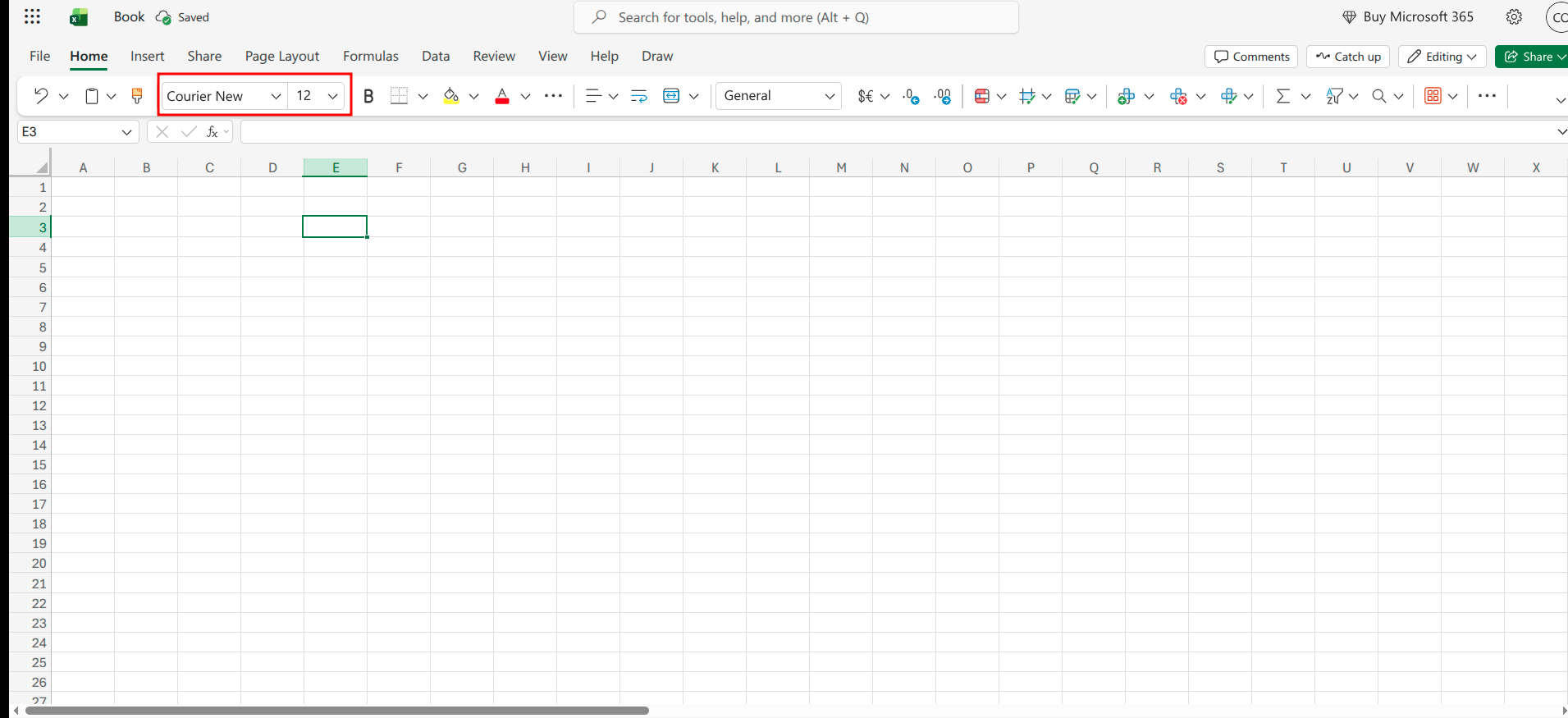 Setting font type to Courier New and size to 12 point in Excel.