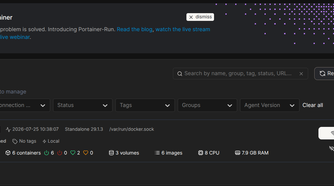 The Portainer main page via localhost.