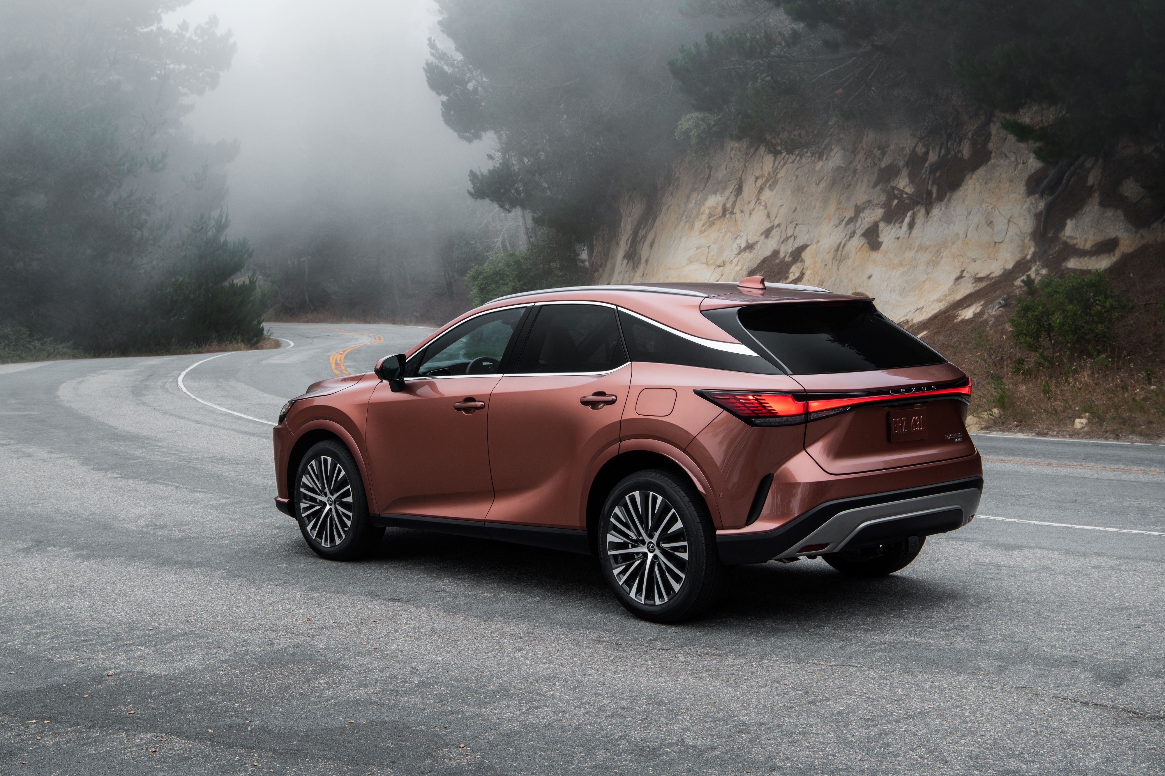 2026 Lexus RX (8)