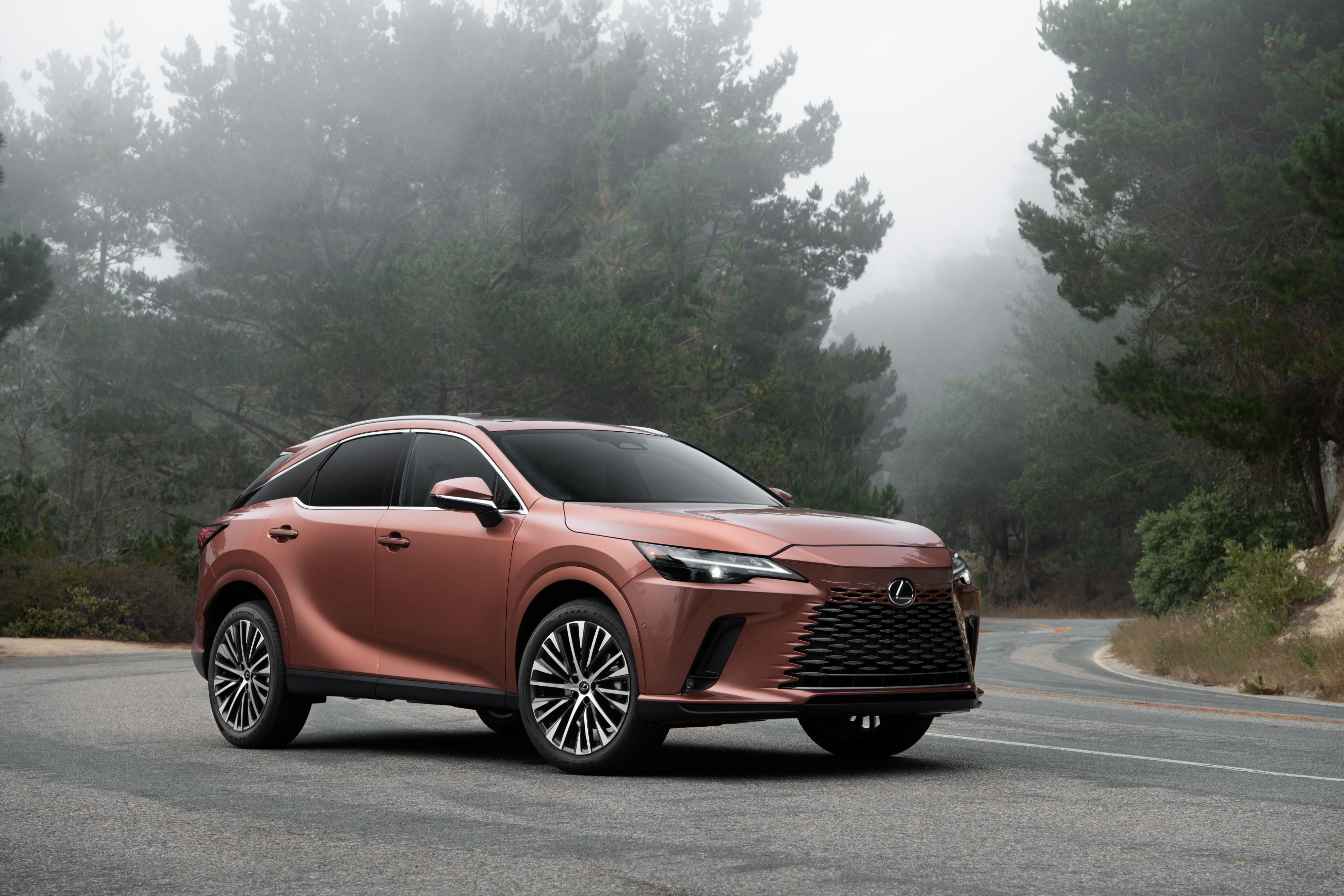 2026 Lexus RX (9)
