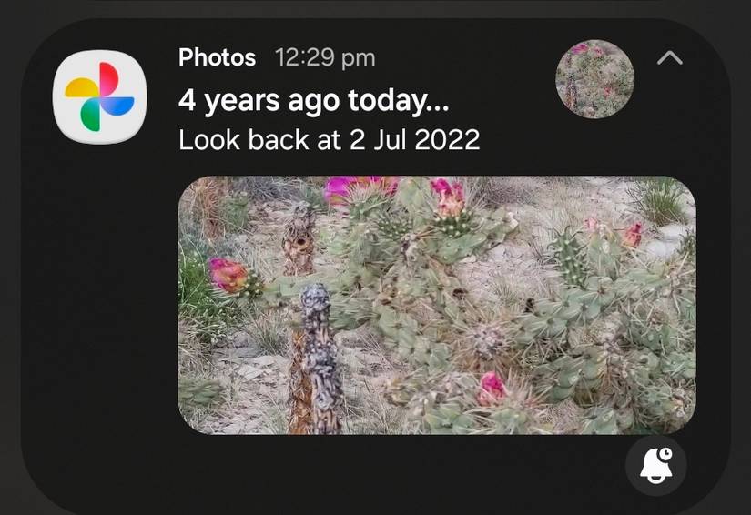 A snapshot from Google Photos, determined by AI.