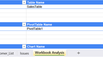 A new worksheet in Excel titled Workbook Analysis.