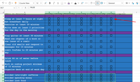 A spreadsheet containing checkboxes.