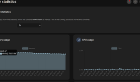 Container statistics in Portainer.