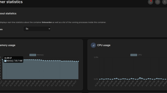 Container statistics in Portainer.
