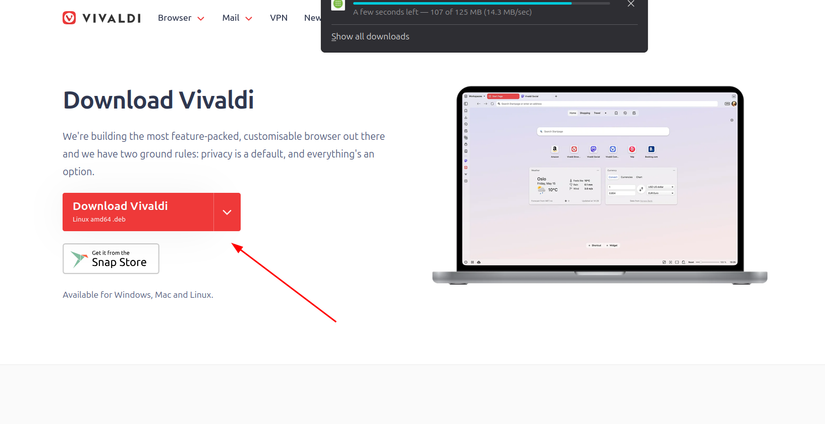 Downloading a DEB version of Vivaldi for Linux Mint.