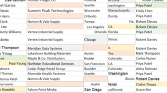 Excel worksheet showing inconsistent fonts, font sizes, and text formatting left unchanged after cleanup.