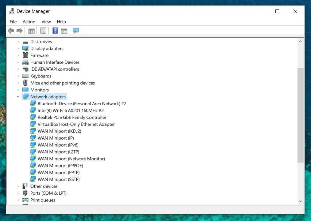 Expanding the Network Adapter dropdown to see the available devices.