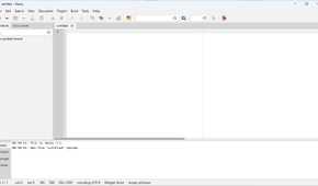 Geany Text Editor open to a blank screen.