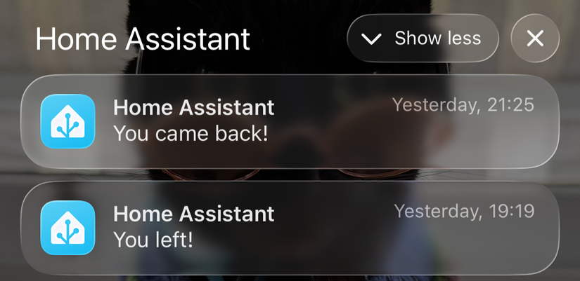 Home Assistant presence detection notifications.