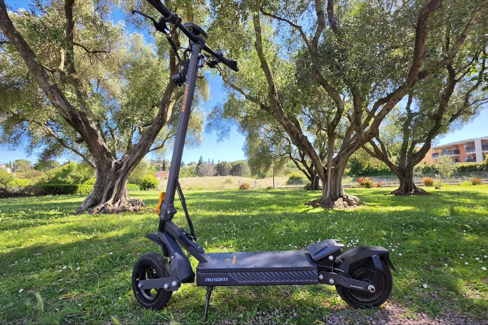 Electric scooter parked on grass beneath large trees in a sunny park.