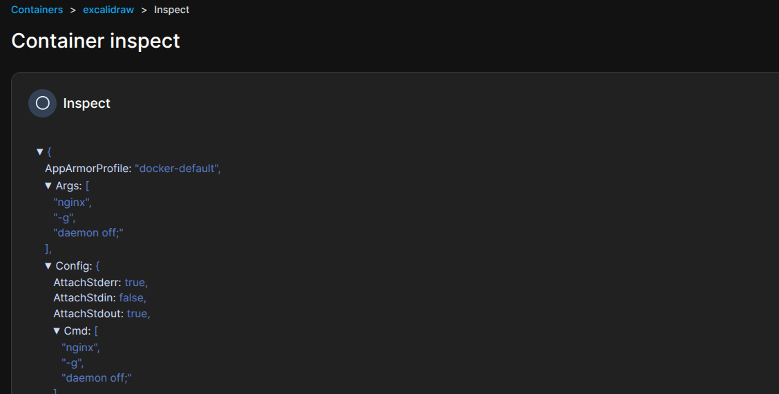 Inspecting a docker container in portainer.