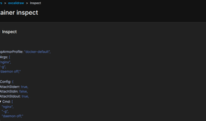Inspecting a docker container in portainer.