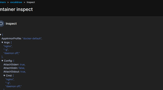 Inspecting a docker container in portainer.