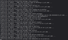 Installing nodejs and npm via the Terminal in Linux Mint.