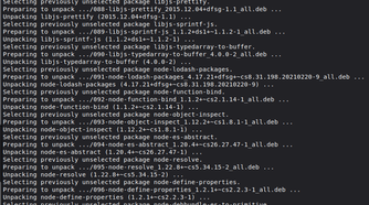Installing nodejs and npm via the Terminal in Linux Mint.
