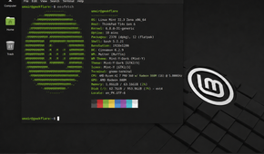 linux mint desktop