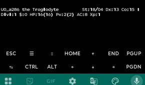 Playing Nethack in Termux