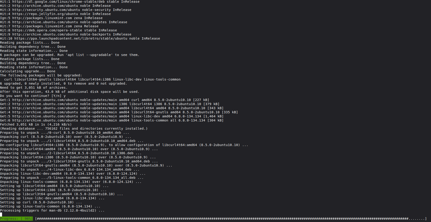 Running apt update and apt upgrade in Linux Mint Cinnamon.