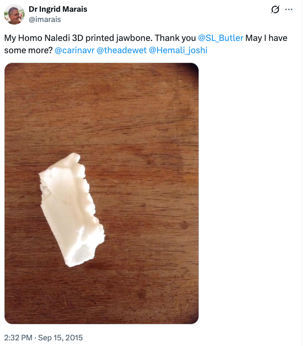 A tweet showing a 3D-printed jawbone of Homo Naledi.