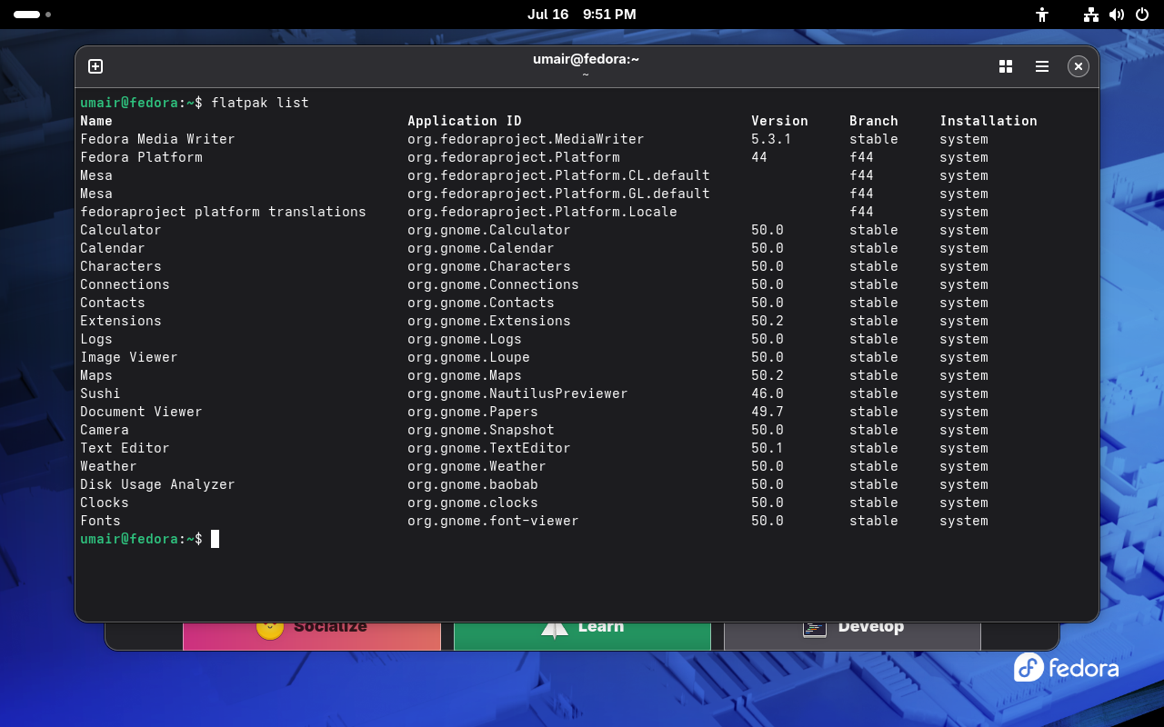 screenshot of installed flatpaks