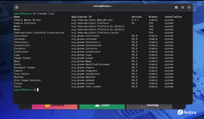 screenshot of installed flatpaks