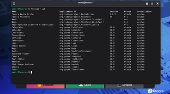 screenshot of installed flatpaks