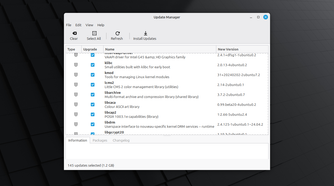 Screenshot of Linux Mint Updates Manager