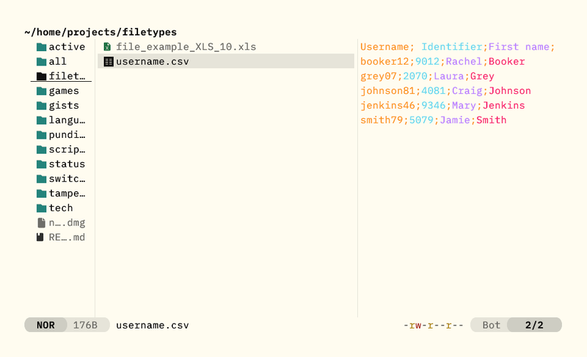 A CSV file selected in the main file list with a syntax-highlighted display of its contents alongside, a different color for each column.