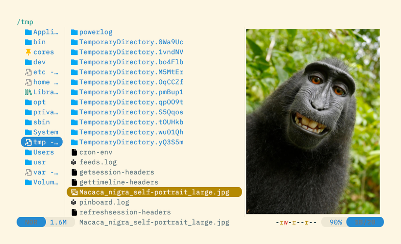 A TUI file maanger showing a list of files, with one selected, alongside an image preview of a grinning monkey.