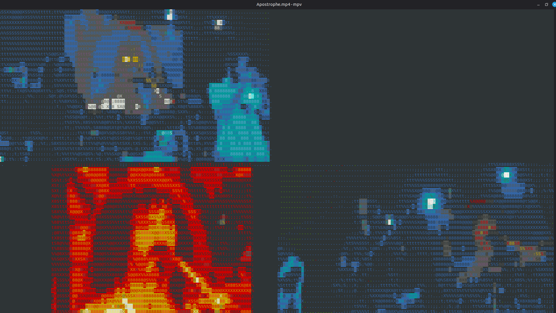 Watching the Apostrophe concert video in ASCII.