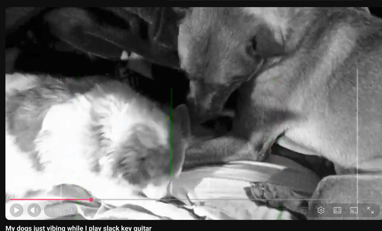 A YouTube video of two dogs sitting next to each other in black and white.