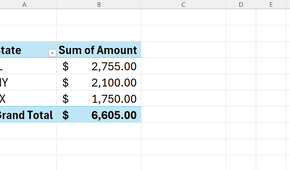 Excel PivotTable showing sales by state.