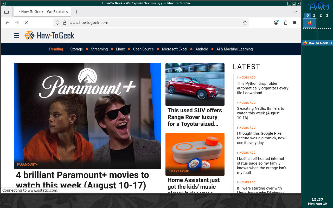 Firefox in FVWM on Linux.