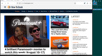 Firefox in FVWM on Linux.