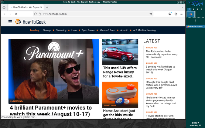Firefox in FVWM on Linux.