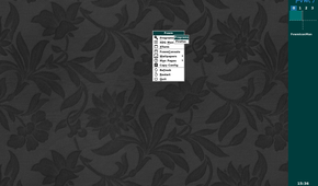 FVWM programs menu.