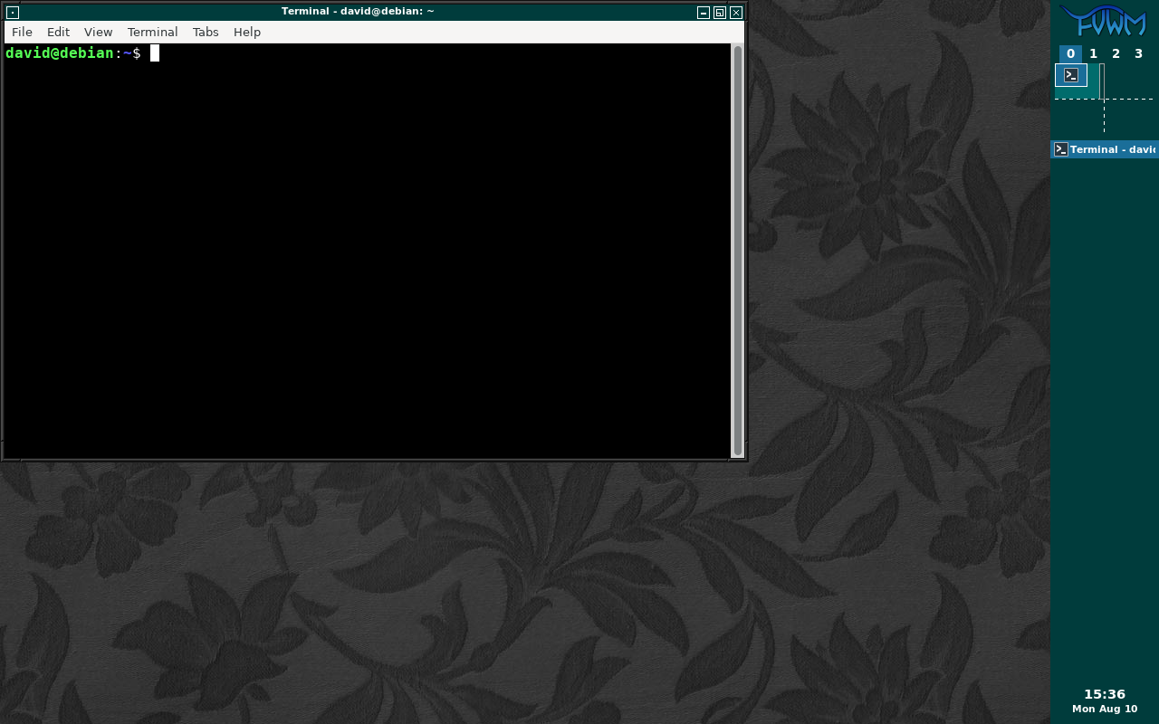 Terminal window in FVWM.