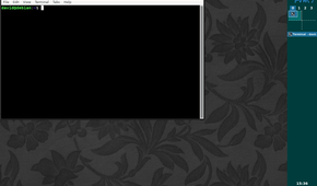 Terminal window in FVWM.