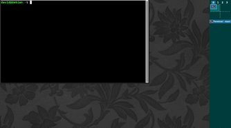 Terminal window in FVWM.