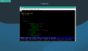 HTG homepage in Lynx in a terminal window in twm.