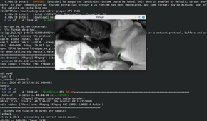 Playing a YouTube video in the Terminal with mplayer.