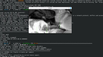 Playing a YouTube video in the Terminal with mplayer.