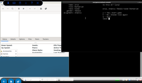 Playing Net Hack on Debian on a Fire Tablet.