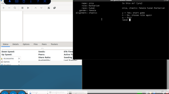 Playing Net Hack on Debian on a Fire Tablet.