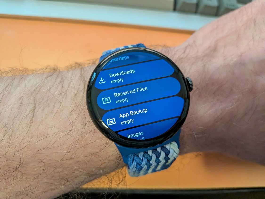5 полезных Open Source приложений для вашего Pixel Watch PXL_20260812_190629914.MACRO_FOCUS(1)