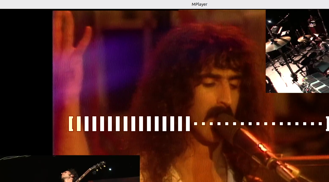 The fast-forward bar in mplayer.