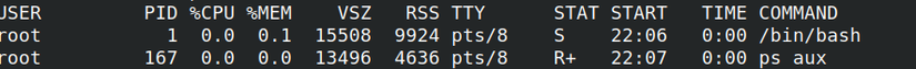 The ps aux command showing pid 1 running in a sandbox.